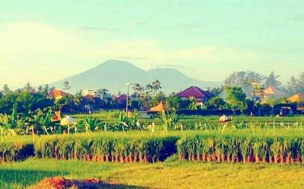 The Hideaway Canggu Ngoại thất bức ảnh